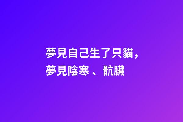 夢見自己生了只貓，夢見陰寒、骯臟